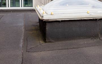 disadvantages of Atlow flat roofs
